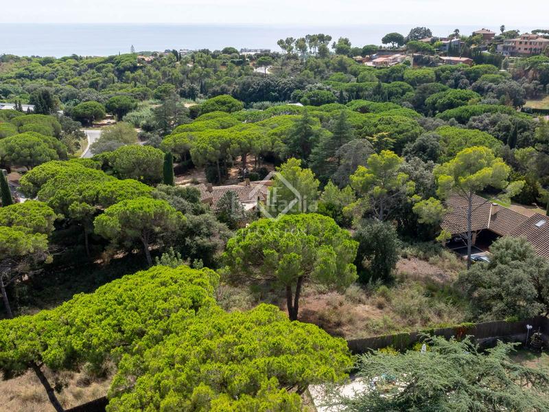 Foto 74d0afa2-e963-41e1-b14e-f0fc325b8fab. Fondo rustico in Rocaferrera Sant Andreu de Llavaneres