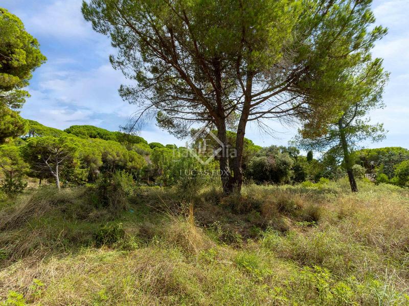 Foto 9166ad88-c836-4481-897c-e14dc4d49a8b. Fondo rustico in Rocaferrera Sant Andreu de Llavaneres