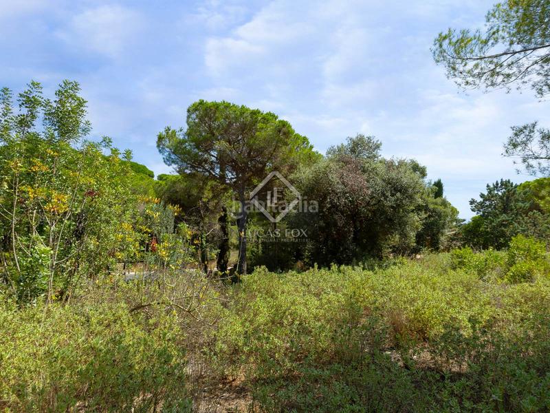 Foto a64a44fb-3532-4e6e-a3eb-5d44853c18c1. Fondo rustico in Rocaferrera Sant Andreu de Llavaneres