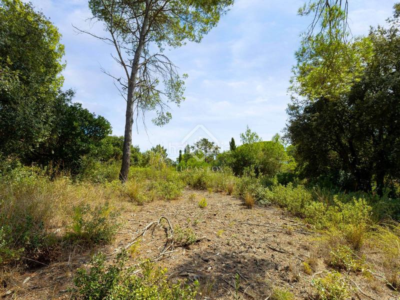 Foto c956132c-644a-4fbc-99be-8516f3c17099. Fondo rustico in Rocaferrera Sant Andreu de Llavaneres