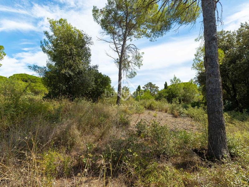 Foto f45b6f84-0692-4966-a8b6-8835a22dee38. Fondo rustico in Rocaferrera Sant Andreu de Llavaneres