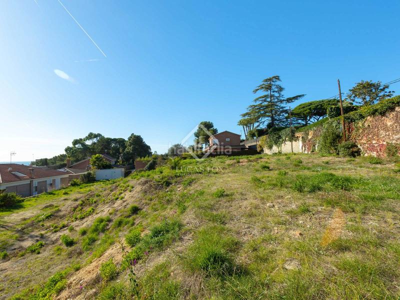 Foto 363677e6-7428-4281-8c74-1e661e5191f5. Fondo rustico in Califòrnia-Santa Madrona Masnou (El)