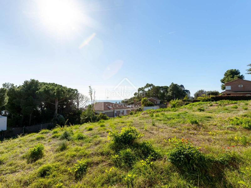 Foto 887b213d-9ed9-412c-9940-70936204f6db. Fondo rustico in Califòrnia-Santa Madrona Masnou (El)