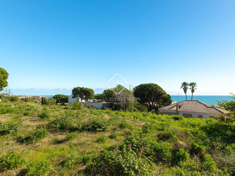 Foto 9ce7d949-1a31-4dbc-8f6a-ba6ed465f973. Fondo rustico in Califòrnia-Santa Madrona Masnou (El)