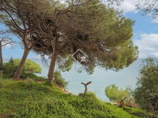 Finca rústica en Victoria-Les Vil·les-Canyadell. Parcela en primera línea de mar con vistas de ensueño en venta e