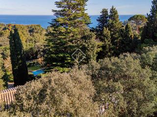 Finca rústica a Fornells-Aiguablava. Parcela en excelentes condiciones en venta en aiguablava, costa