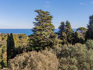 Rural plot in Fornells-Aiguablava. Parcela en excelentes condiciones en venta en aiguablava, costa