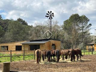 Finca rústica a Ca n´Oriol. Espectacular finca en venta, ideal para inversionistas en sant c