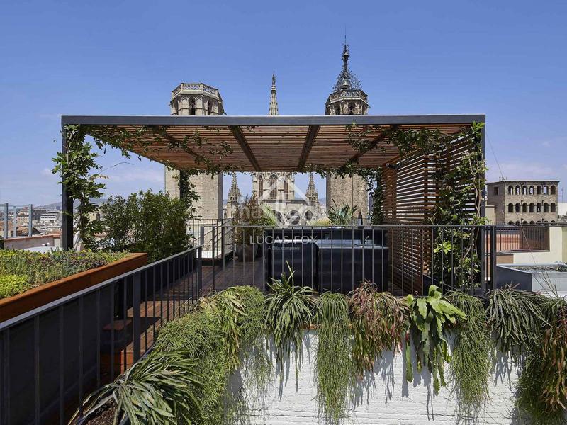 Foto d780ee8a-d7c9-4cf8-8f09-3a39ffc5ee18. Ático  en excelentes condiciones de 2 dormitorios con 194m terraza en venta en gótico en Barcelona