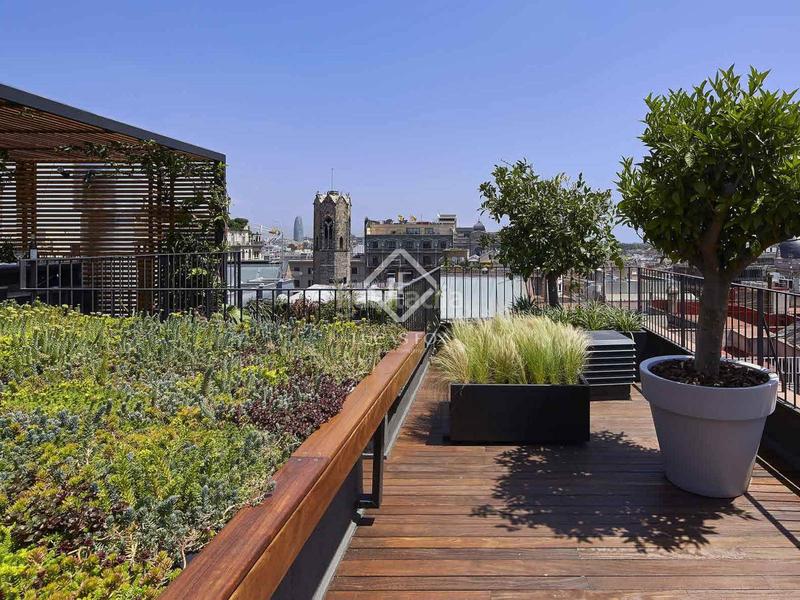 Foto e93ceaa7-9011-49cd-a9fd-bb9d2edd8b14. Ático  en excelentes condiciones de 2 dormitorios con 194m terraza en venta en gótico en Barcelona