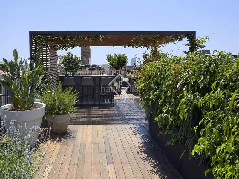 Foto f25bc6a2-6113-4a82-b9a9-5f717247795d. Ático  en excelentes condiciones de 2 dormitorios con 194m terraza en venta en gótico en Barcelona