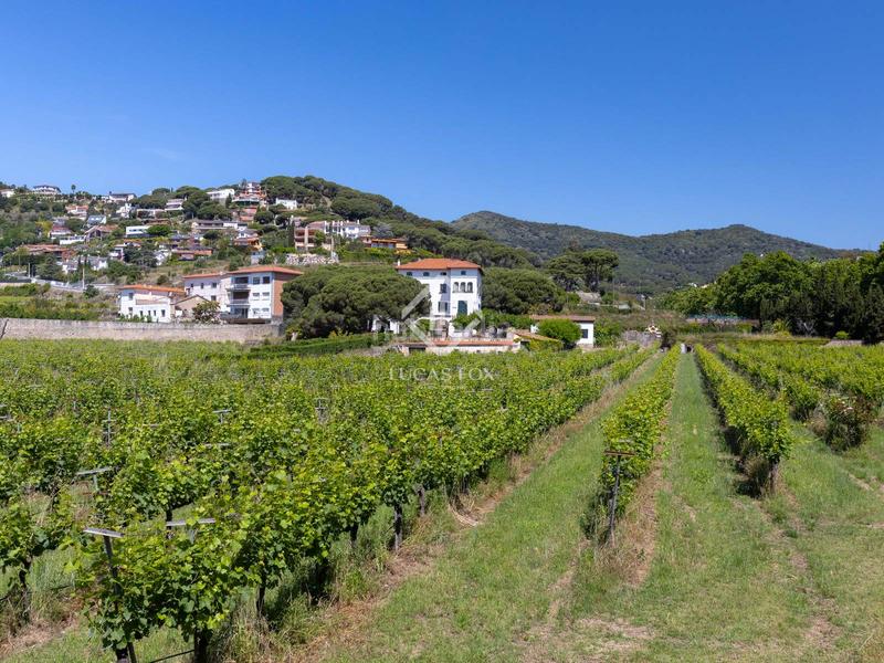 Foto e8f7141c-73a2-41e9-8378-330a57968657. Masía casa rural de 10 dormitorios con 27,090m de jardín en venta , barcelona en Alella