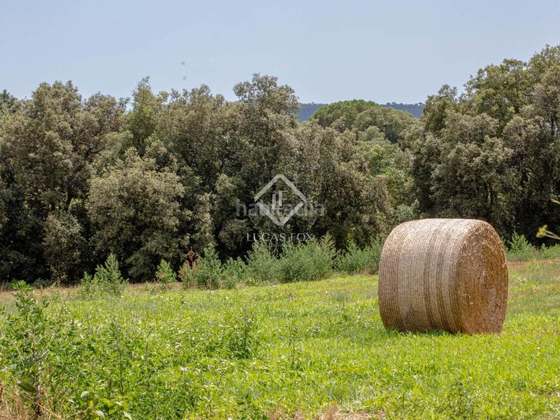 Foto 0fcc73ff-6160-4dfc-b20b-524e1a2fec06. Masia a Forallac