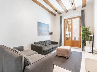 Flat in St. Pere - Sta. Caterina - El Born. Piso en excelentes condiciones de un dormitorio en venta en el b