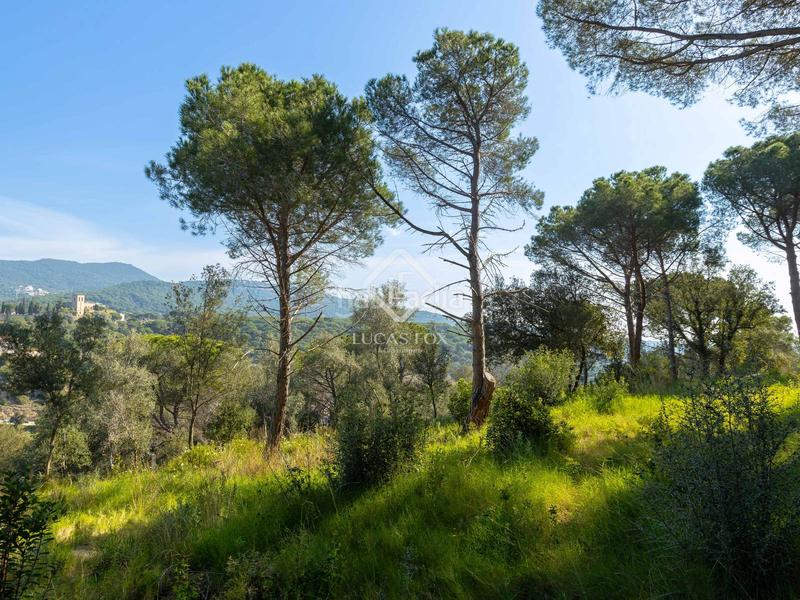 Foto 448a1240-8c0d-49d8-872e-3a781a08057a. Xalet amb calefacció aparcament piscina a El Mirador-La Cornisa Sant Andreu de Llavaneres