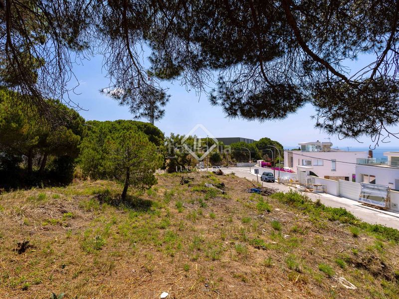 Foto 3a86bf59-7d76-4b99-9787-c1783299ab2d. Xalet amb calefacció aparcament piscina a Vilassar de Dalt