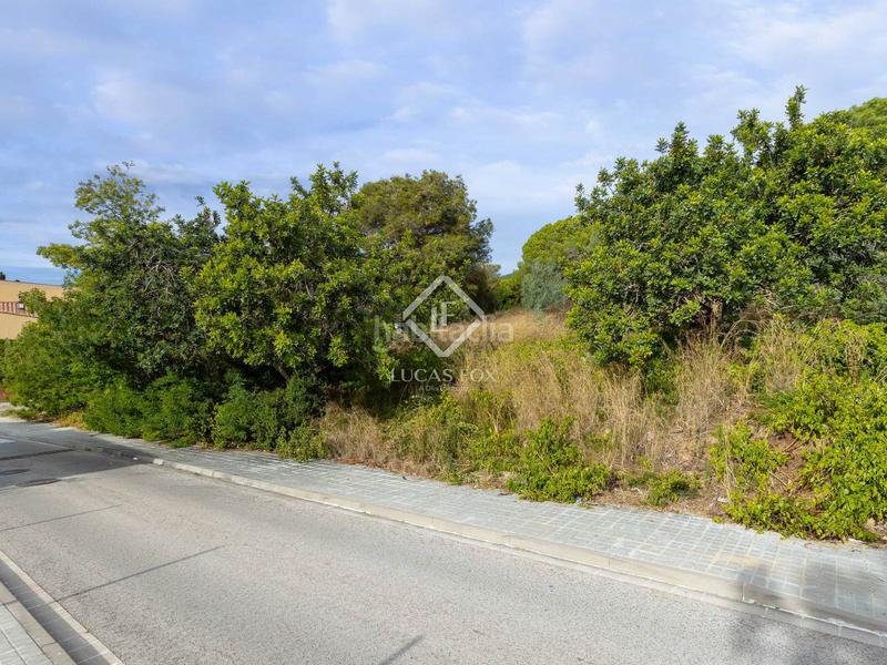 Foto a0a77c26-0186-44a4-aac8-d576962dcd42. Finca rústica a Cabrils