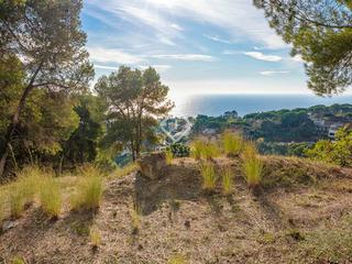 Propriété à Centre. Parcela en excelentes condiciones en venta en blanes, costa brav