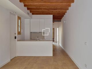 Piso en Raval. Piso reformado  de 2 dormitorios con 15m terraza en venta en el