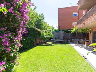 Pis a El Gall. Fantástica planta baja de 139m2 con 4 dormitorios, jardín de 110