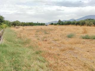 Propriété  Camino poligono 4 parcela 117