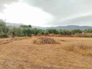 Finca rústica  Camino diseminados