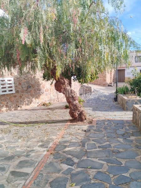 Foto 0d23b43b-50c0-49fd-be5c-040de43f1ff3. Masia amb calefacció a Murtas