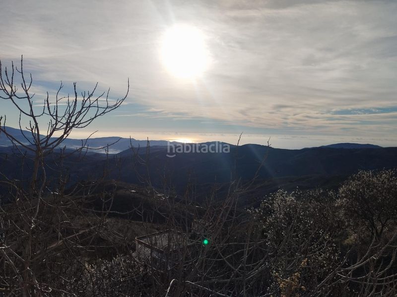 Foto 1de69d05-7bb7-4313-9c68-15f9ae2431cb. Masia amb calefacció a Murtas