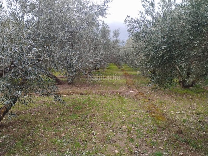 Foto 192d2f80-6771-4a0c-823b-f42d58937170. Finca rústica en Villa de Otura