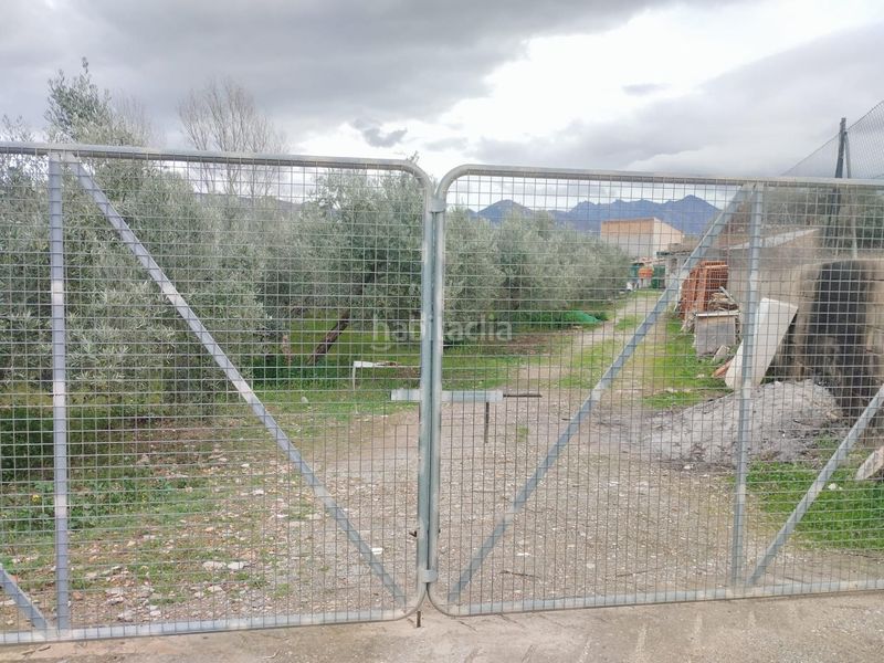 Foto 41033f2d-ce31-4987-809f-88d862cbdd53. Finca rústica en Villa de Otura