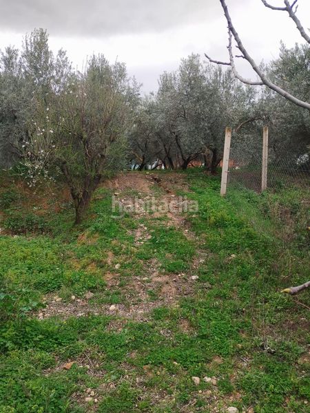 Foto 5c87b563-1a58-4c2b-84b0-cbb419dd6e26. Finca rústica en Villa de Otura