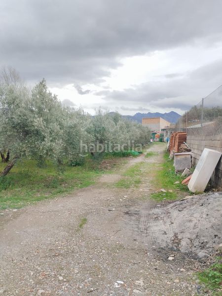 Foto 958d499e-fefa-49d5-ad86-b01646680730. Finca rústica en Villa de Otura