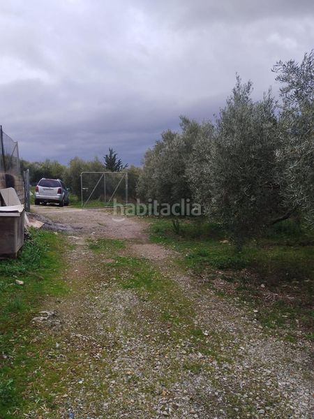 Foto acdce81b-a903-4325-bf14-74cb1d607373. Finca rústica en Villa de Otura
