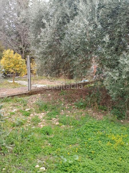 Foto e784743d-c636-4d41-9b68-7236e3a59147. Finca rústica en Villa de Otura