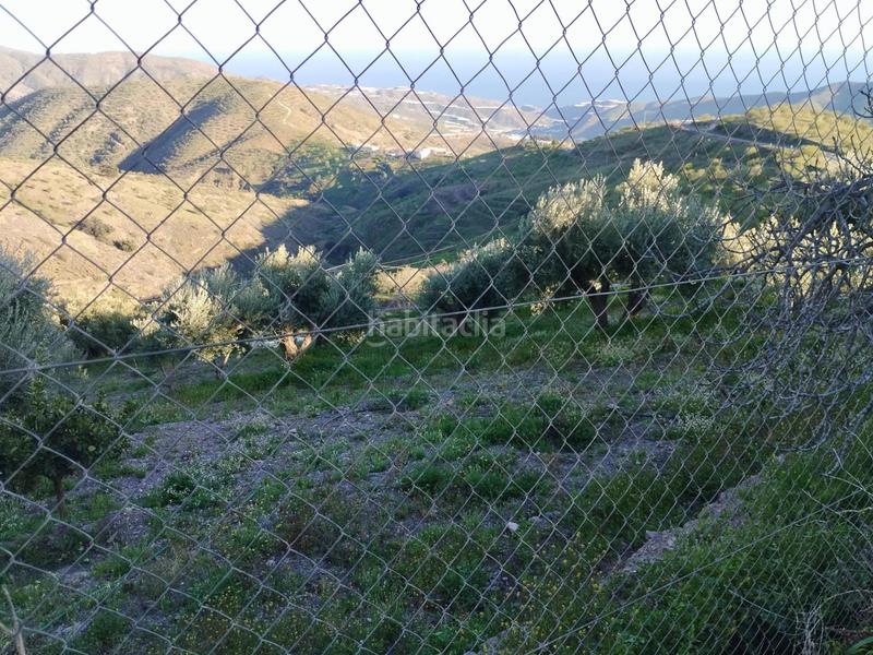 Foto 8225197d-2aa7-4edf-b420-6d632a5e4b5b. Masía finca con cortijo en albondon en Albondón
