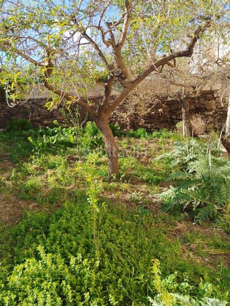 Foto a981e570-e3fd-4cd1-aab3-e78bea7da985. Masía finca con cortijo en albondon en Albondón