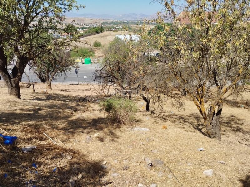 Foto 31d037b4-d6b5-4272-9c81-e5603984cf24. Terreno residencial en Villa de Otura