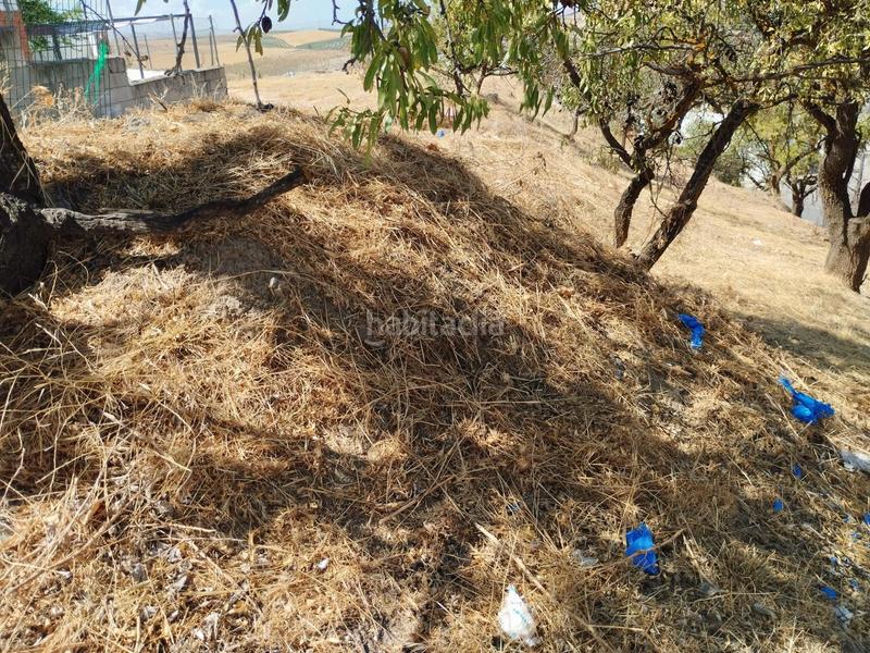 Foto 9a932075-3dcd-4c90-b1b5-3f4ab523e307. Terreno residencial en Villa de Otura