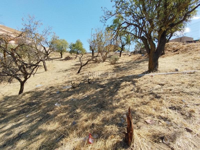 Foto a7a9a216-5652-42f2-a938-1b513bc6cb02. Terreno residencial en Villa de Otura