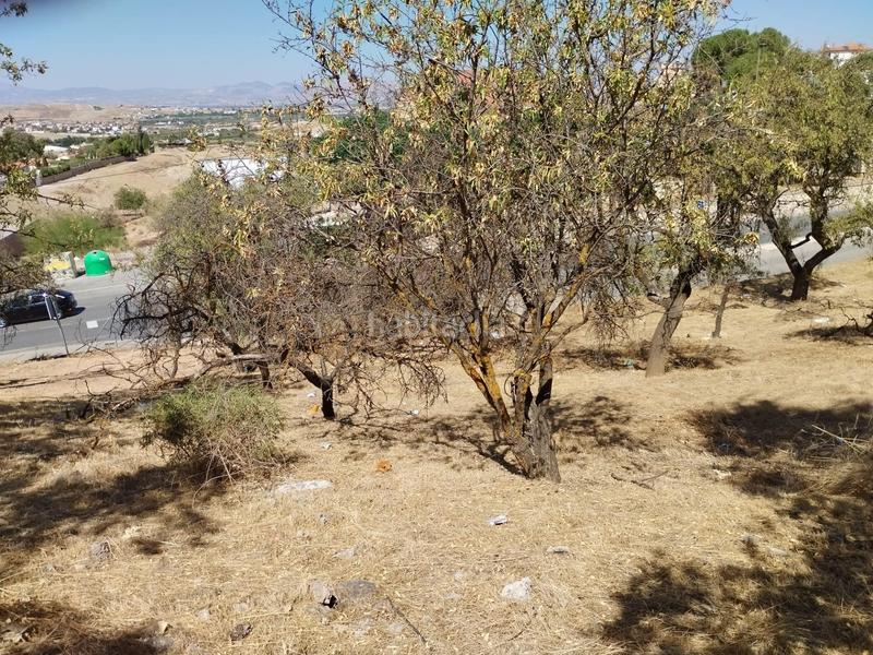 Foto bc2b347b-0892-498c-94a3-0d4c7a3fabab. Terreno residencial en Villa de Otura