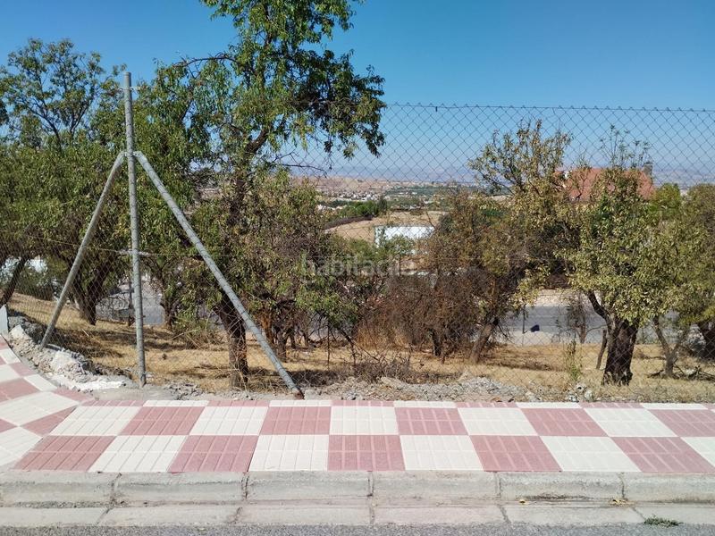 Foto cd832a71-db8a-4847-add3-43cb5d2ea8db. Terreno residencial en Villa de Otura