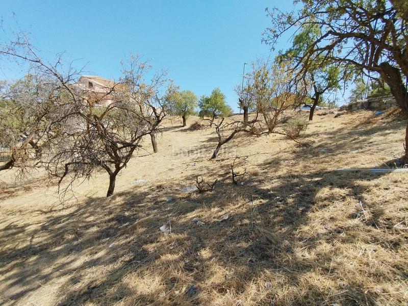 Foto 703c3a9b-d7b2-4c1f-8f64-2eaf483bc50c. Terrain résidentiel dans Villa de Otura