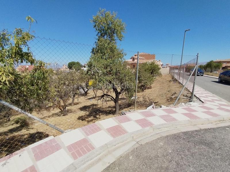 Foto fadaf28f-f46e-46be-b0ba-44da0b0a567f. Terrain résidentiel dans Villa de Otura