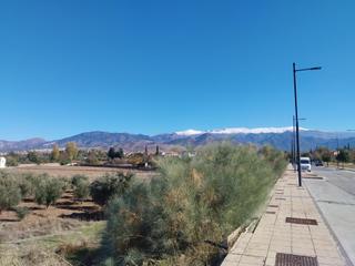 Terreny residencial a Calle SUELO URB S8