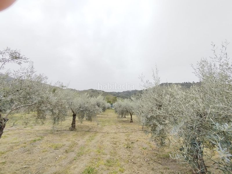 Foto 18a358e1-3a78-45e6-af5f-2de344278b38. Landgut in Cenes de la Vega