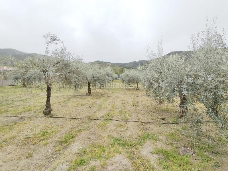 Foto 73041a0f-2193-4266-a277-1e62ad595545. Landgut in Cenes de la Vega