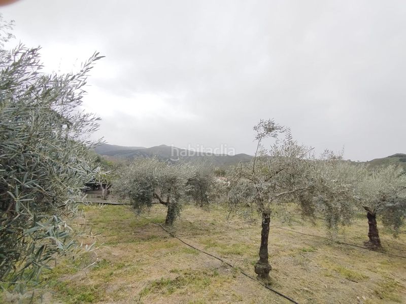 Foto 75990bd2-dbd1-4738-9366-92b148f7091e. Landgut in Cenes de la Vega