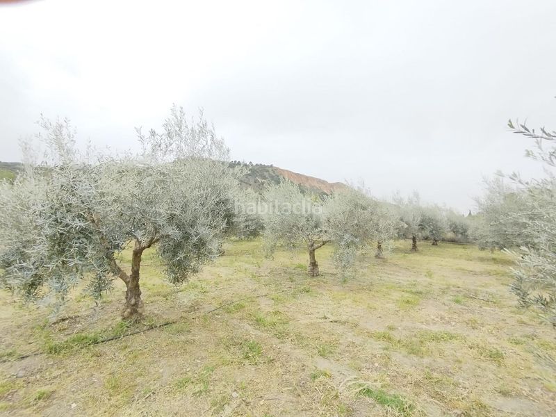 Foto 817e33b7-8ae3-4f09-8f28-6c5d47e72ceb. Landgut in Cenes de la Vega