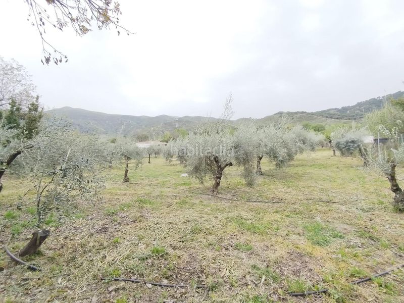 Foto 84da6812-6af9-4863-b8eb-7c4f36178a66. Landgut in Cenes de la Vega