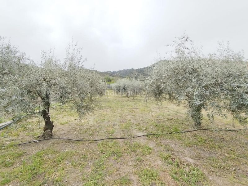 Foto ab3f3712-a914-4240-adf8-0d0d2a2446d4. Landgut in Cenes de la Vega